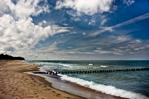 wkacje_gorczyca_54391