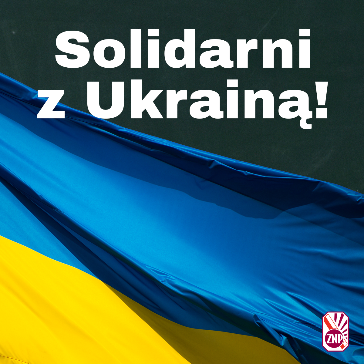 9B8E3BE9-5FD7-4431-975F-891A470BA750